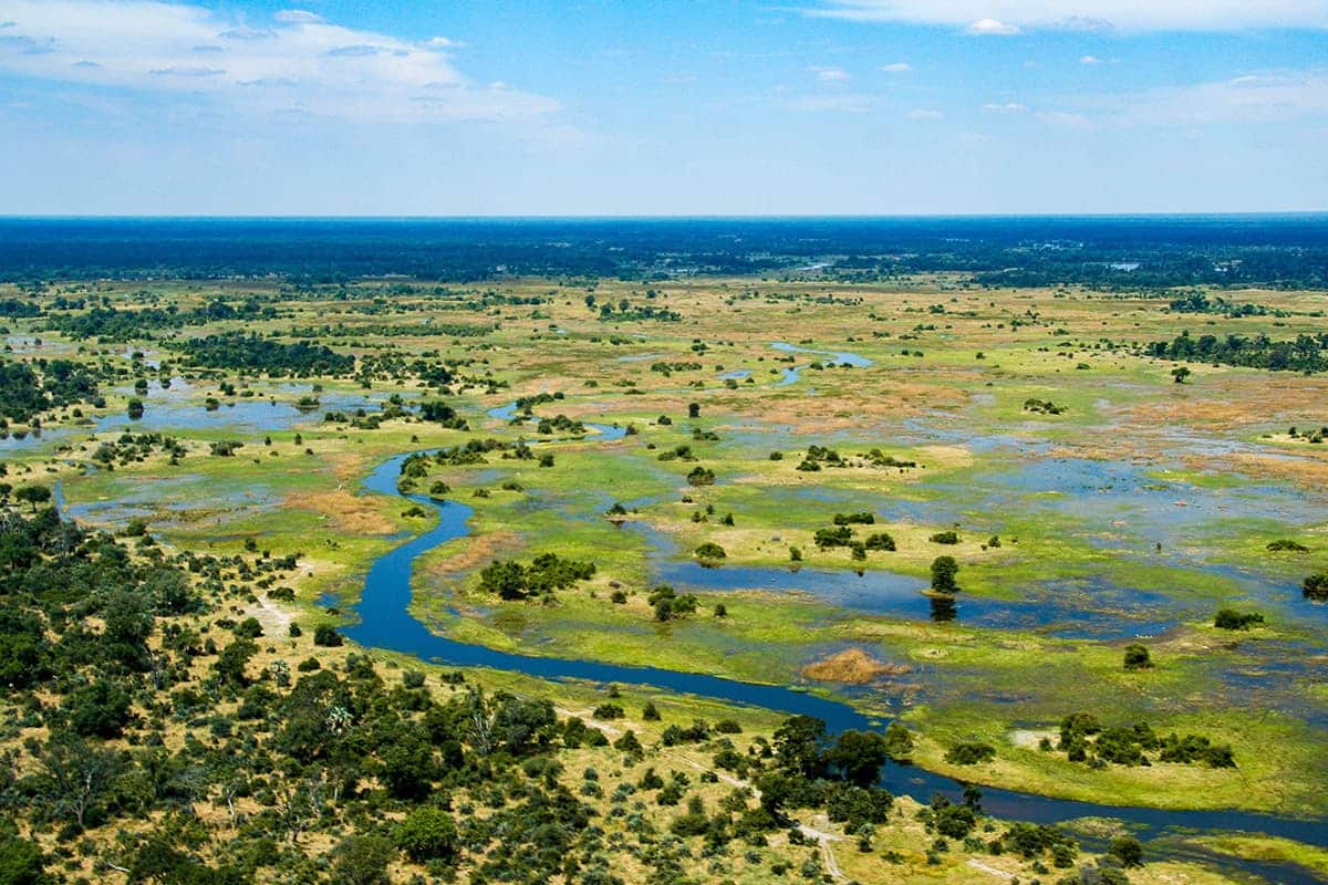 botswana-safari-afrique