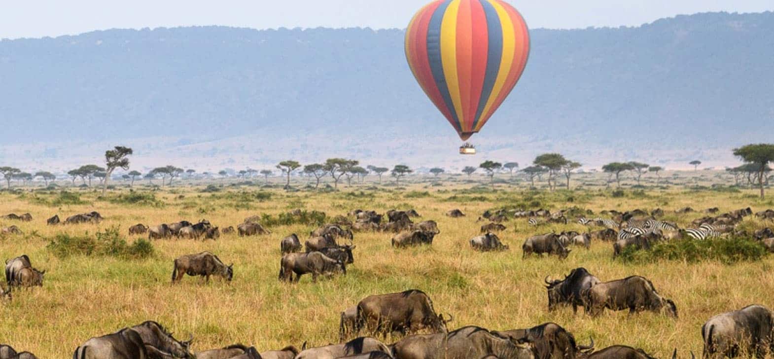Montgolfière-Masai-Mara-4