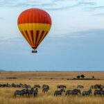 un safari en Afrique faut-il prévoir 3