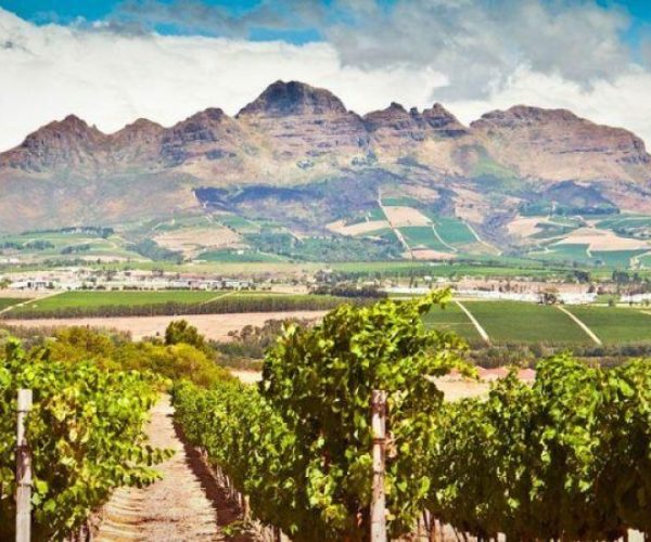 1150428771-qqnzwjc5l01t36is91uogq0239bk2a86f83a3c2um4