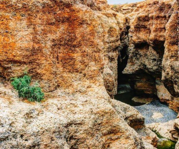 21730798-1-qqnzwiebe60irkk5ejg1w88lhvg6ul4g33fsm248sc