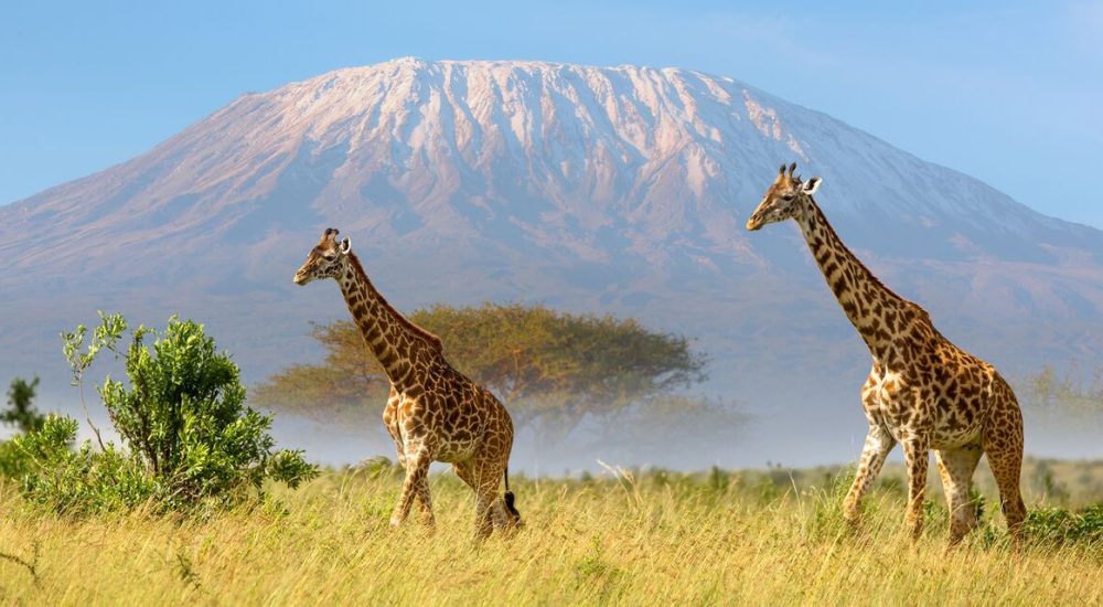 2E0A0E0F-CF71-44EB-BF19FDD2D34CF520