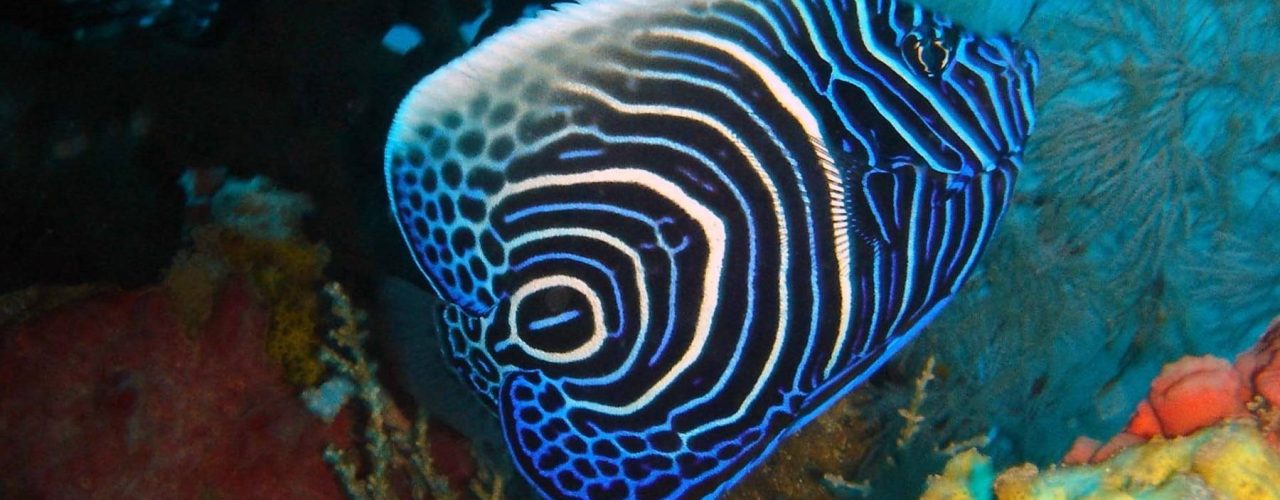 7bf54a2b075416cd064d603a831a8b41f7c0b2f9