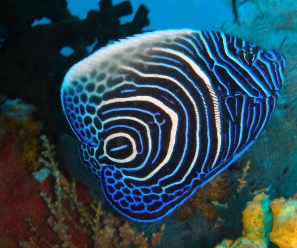 7bf54a2b075416cd064d603a831a8b41f7c0b2f9