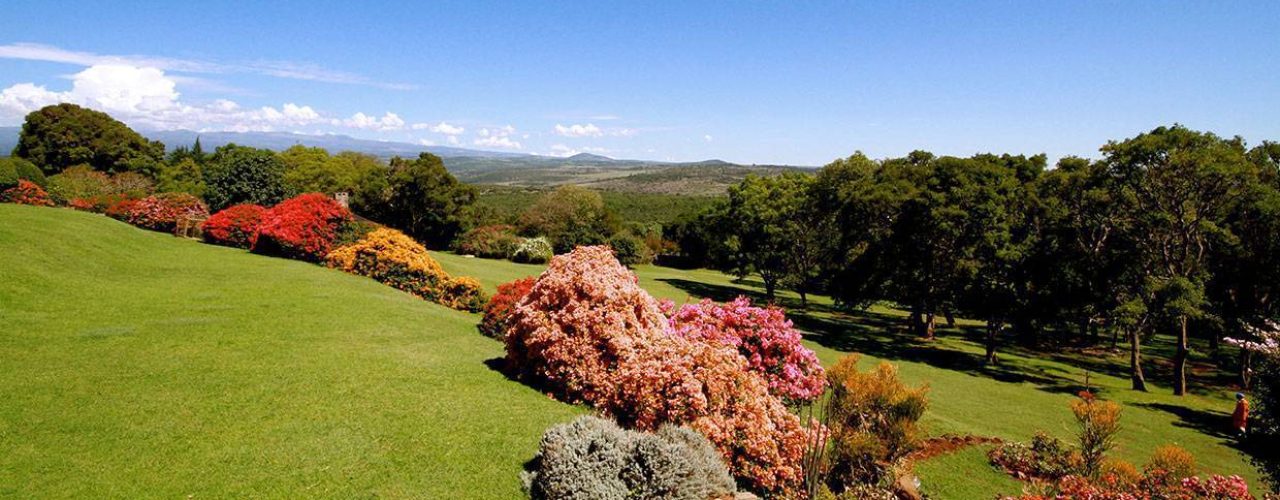 ABERDARE COUNTRY CLUB (8)