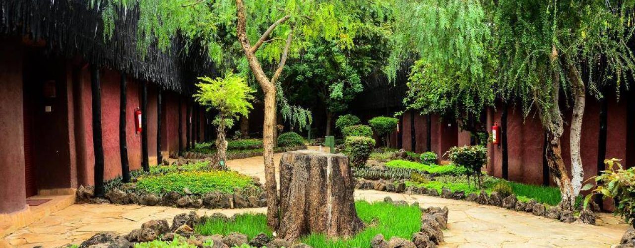 AMBOSELI SERENA LODGE (5)