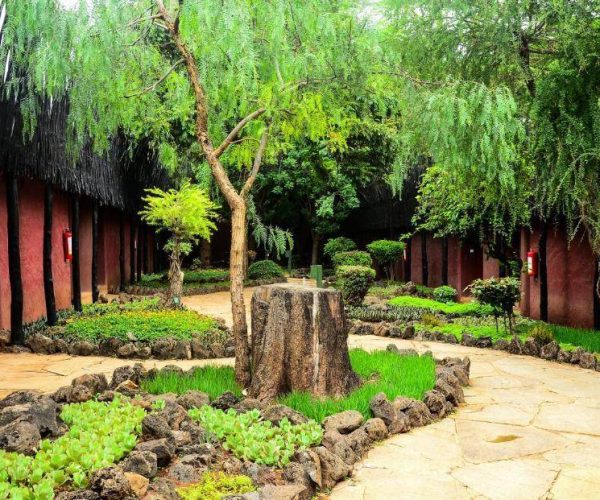 AMBOSELI-SERENA-LODGE-5