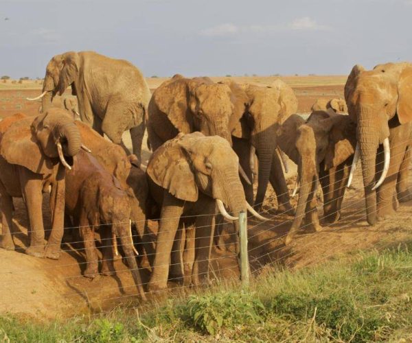 ASHNIL-ARUBA-LODGE-11