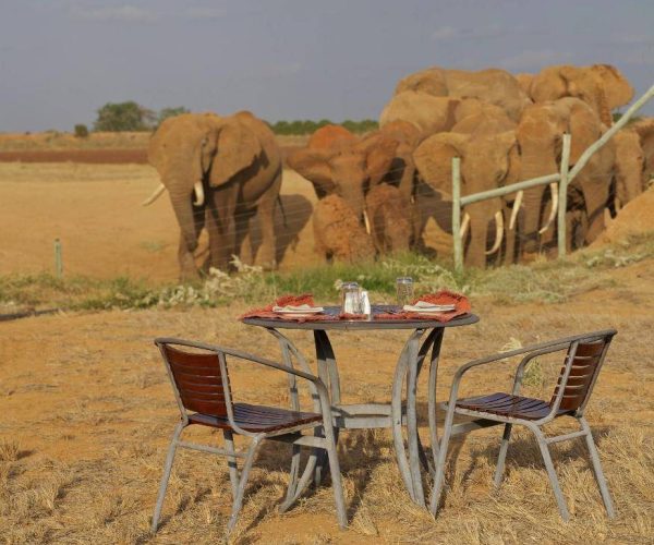 ASHNIL-ARUBA-LODGE-14