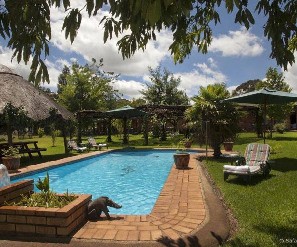 Airport-Game-Lodge11