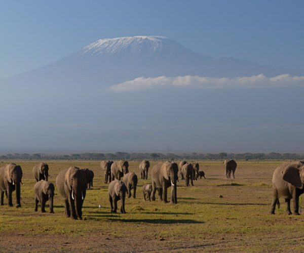 Amboseli.JPG