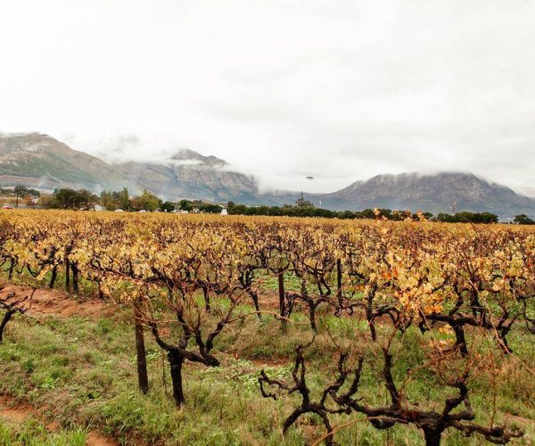 BASSE-PROVENCE-COUNTRY-HOUSE-8