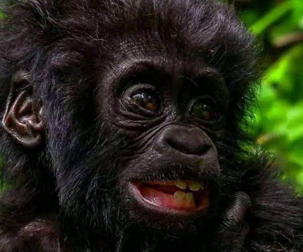 BEST OF RWANDA 10 JOURS (3)