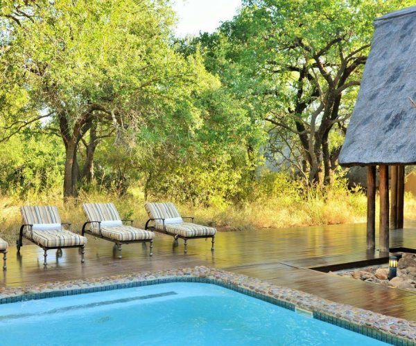 BLACK-RHINOS-GAME-LODGE-4