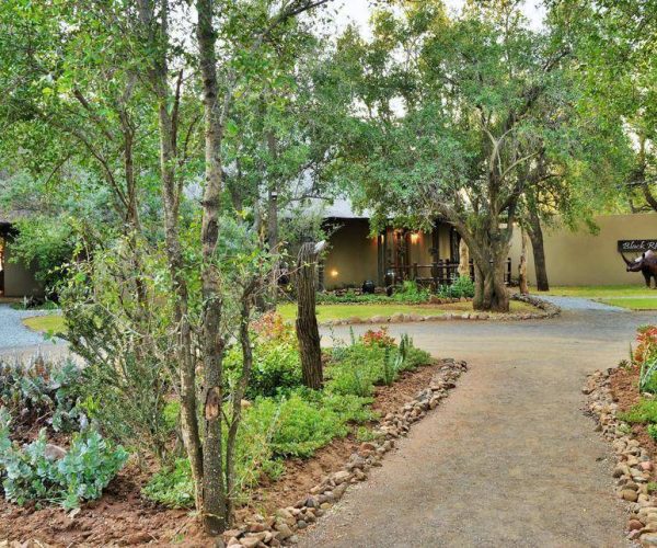 BLACK-RHINOS-GAME-LODGE-9