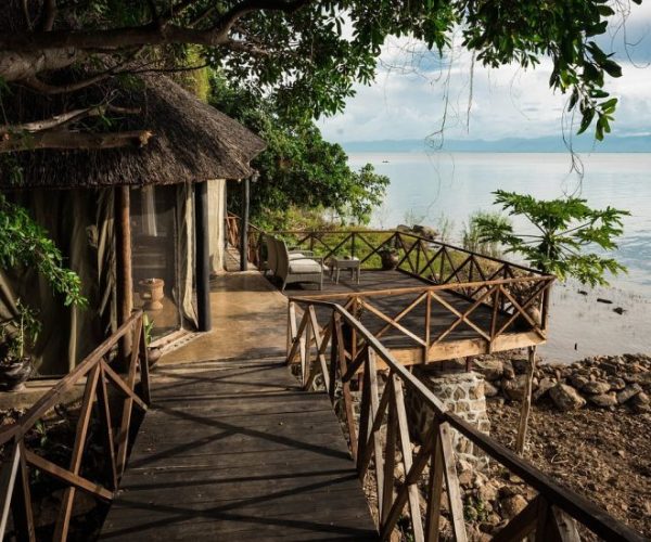 BLUE-ZEBRA-ISLAND7-qqnzy7htqec5q83ehruswatk3x31qwuzzhuct1lnjw