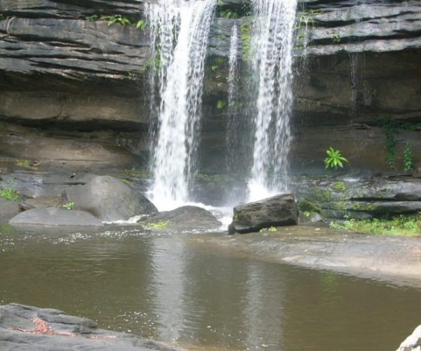 BUFFALO-SAFARI-3-r9m8h09382ggc322bf9htcz7fubsraeiy8bd6mvse4