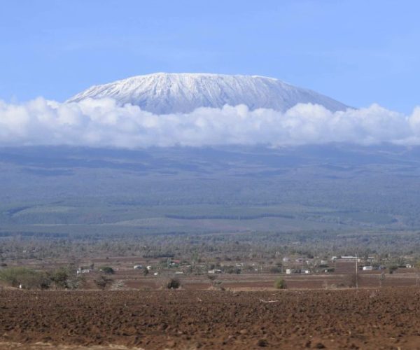 BUFFALO-SAFARI-5-scaled-qqnzr107iyib1givf64ecm1sqyh3y5ctbyftty8x30