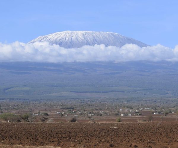 BUFFALO-SAFARI-5-scaled-r9m8hg8cg92btgeuq465hqy1je51e55yofemcc83gc