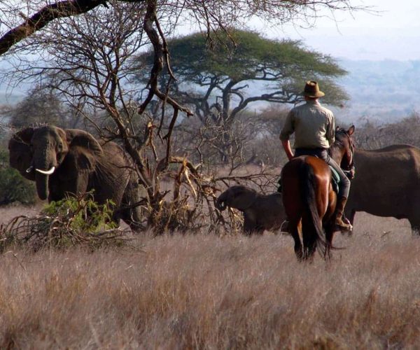 Balade-a-cheval-10-1