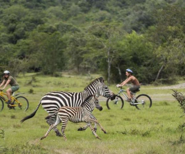 Balade-a-velo-dans-le-parc-National-de-Mburo-5-1