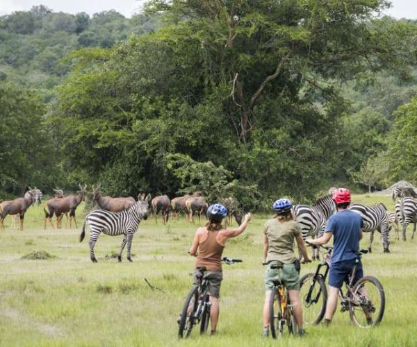 Balade-a-velo-dans-le-parc-National-de-Mburo-6-1