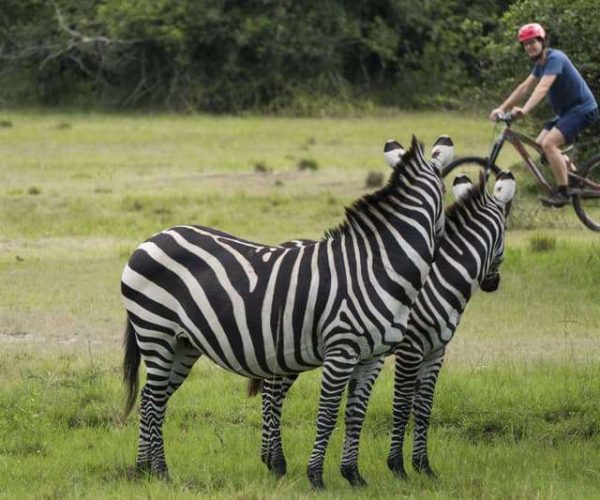 Balade-a-velo-dans-le-parc-National-de-Mburo-7-1