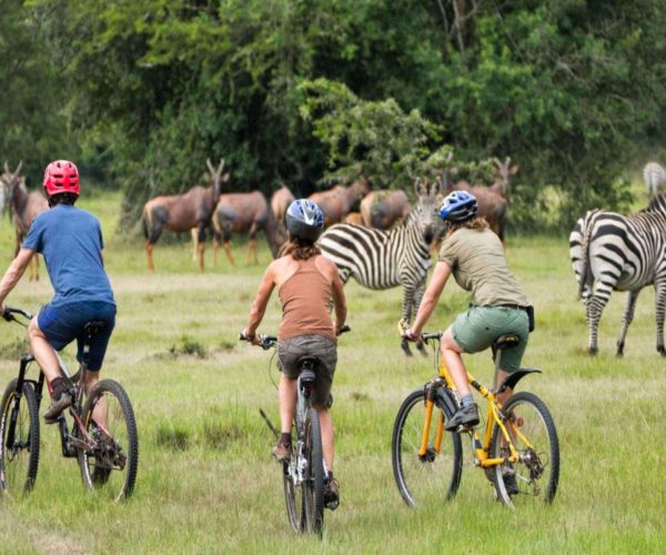 Balade-a-velo-dans-le-parc-National-de-Mburo