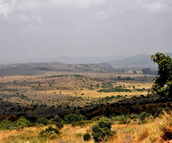 Ballade-a-quad-dans-le-Vredefort-4