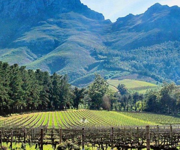 Batavia-Hotel-Stellenbosch-South-Africa-wineroute-qqnzxpmw4jnplmtce24w2xbstlj2onw3l1g4osc4u4