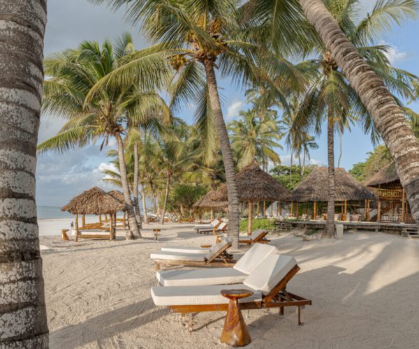 BeachPalms-1024x683