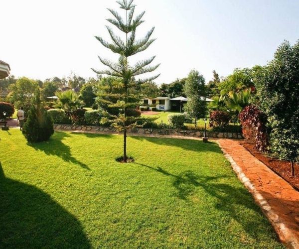 Bougainvillea-Safari-Lodge-10