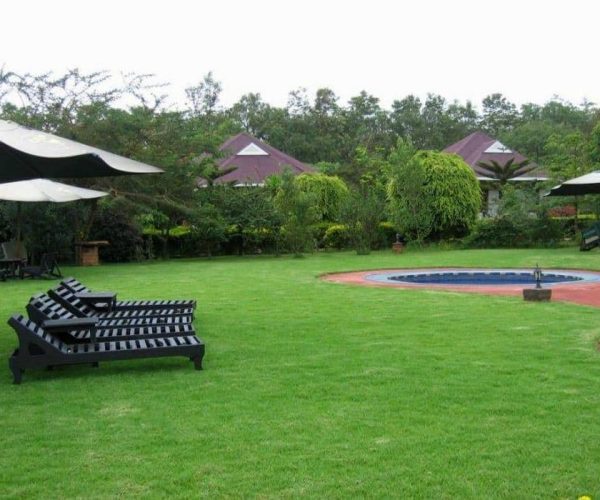 Bougainvillea-Safari-Lodge-2