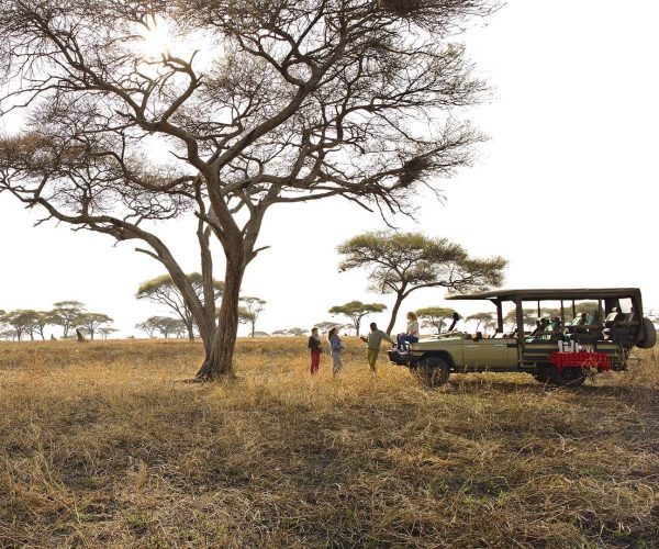 Bush-Breakfast-Tanzania-2-1