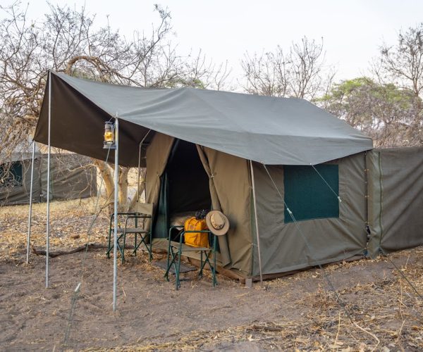 CARACAL SAFARI (6)