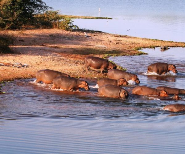 CHANGA-SAFARI-CAMP-5