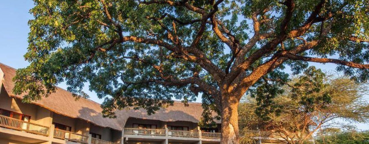CHOBE-BUSH-LODGE