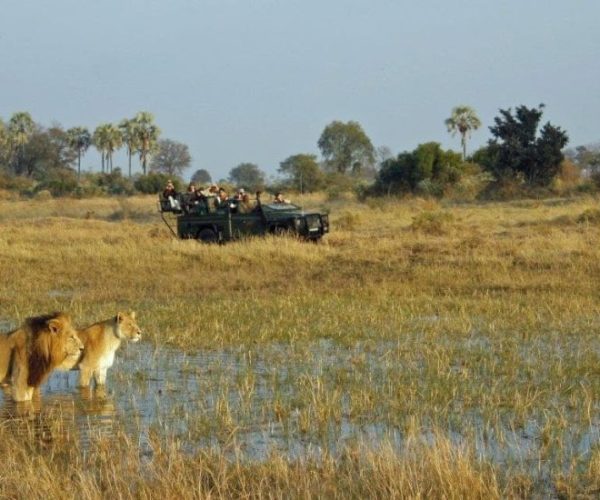 CIRCUIT-FISH-EAGLE-11-qqo0kha5o2tqtlqrfwfkh6hqtlb54qa1dqbj62ku4c