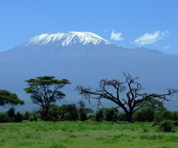 COMBINE-KENYA-RWANDA-1