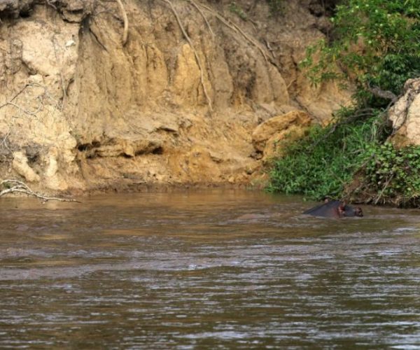 COMBINE-OUGANDA-RWANDA-10-scaled-qqnzzgm2ug1x7i9v6bcw7zfomewo0du45p5nubqr98