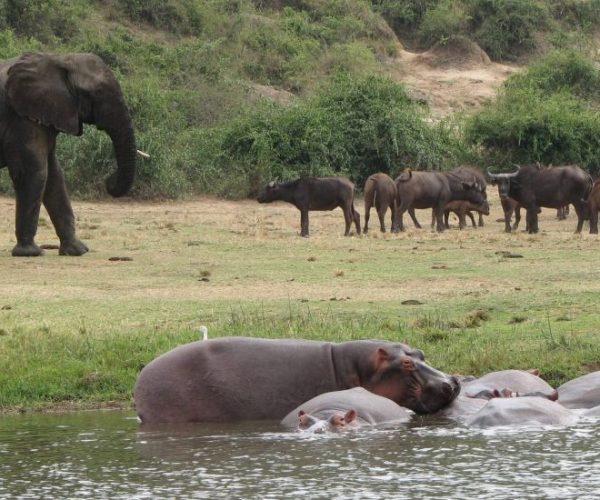 COMBINE-OUGANDA-RWANDA-11-scaled-qqnzzhjx1a37j48i0trish757ss182xuhtt5blpd30