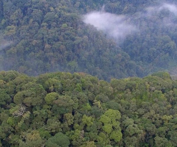 COMBINE-OUGANDA-RWANDA-7-scaled-qqnzzcuq33wrx2fbs9qdy0du8vf75lf6t6jpx7wby4