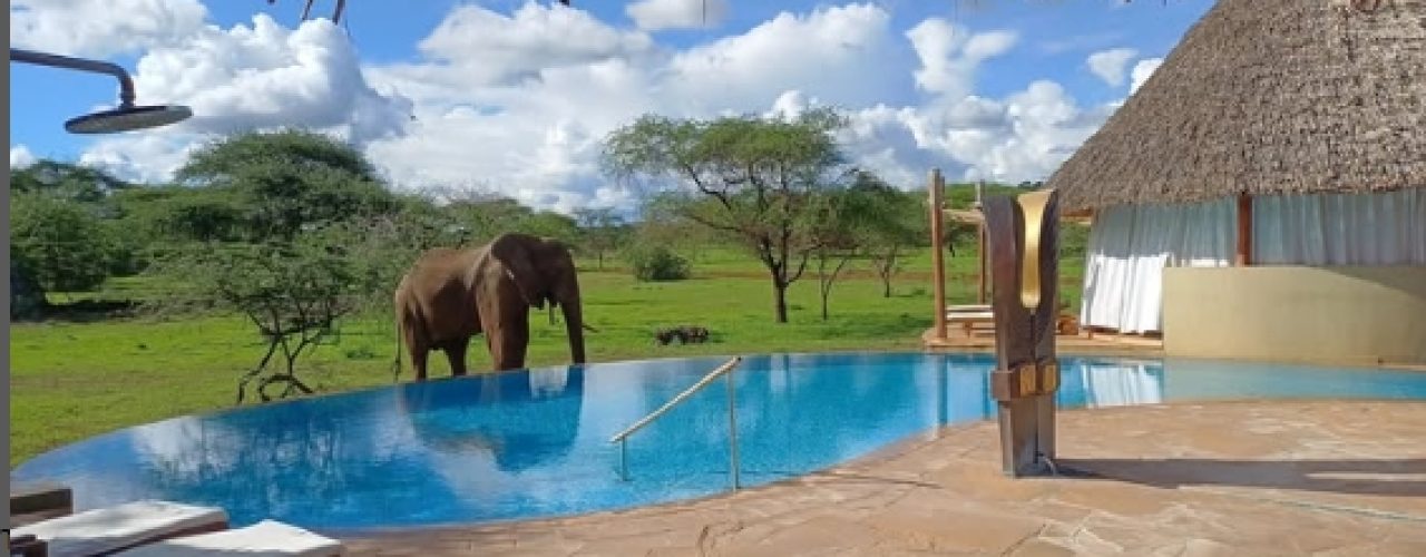 Capture d’écran_5-3-2025_111756_www.instagram.com