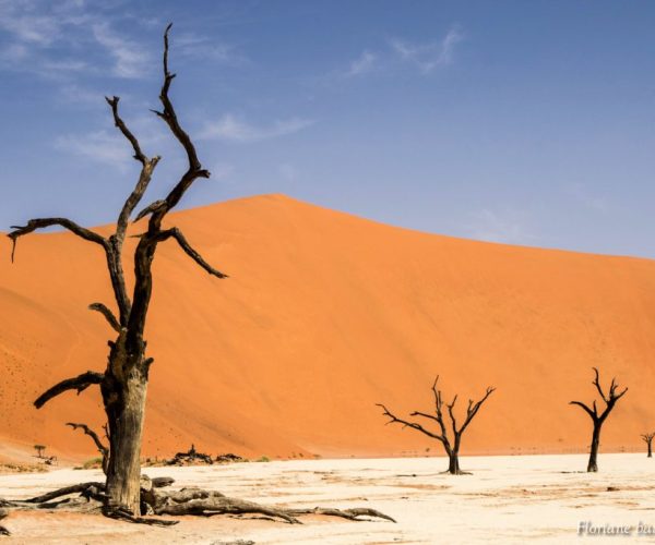 DECOUVERTE DES GRANDS ESPACES D'AFRIQUE (4)