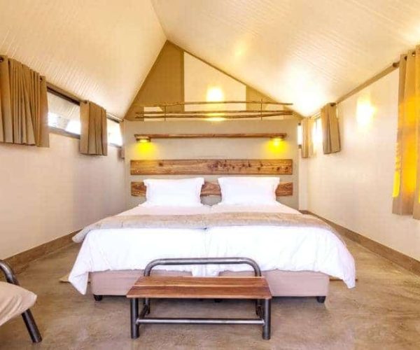 DESERT-QUIVER-CAMP-8