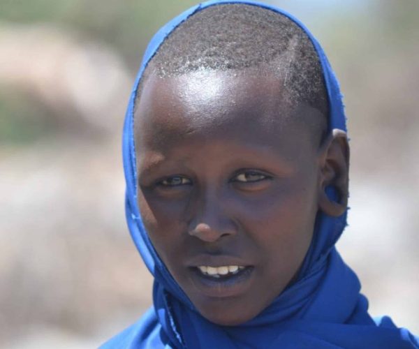 DREAM-12-scaled-qqo00fe3vbdj52vcj8e3a8nqlo58x6o6mhamlkb6v0