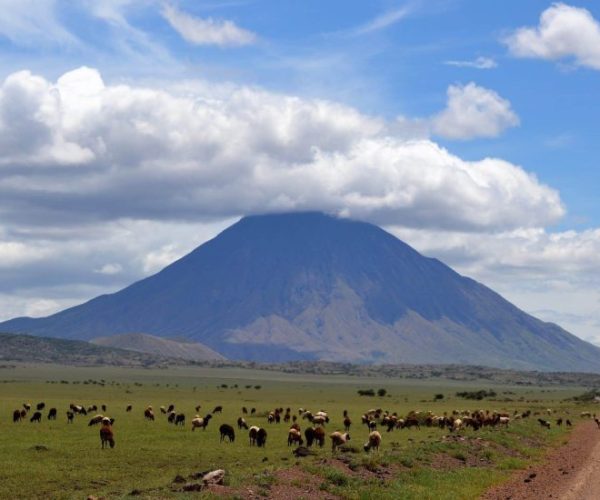 DREAM-14-scaled-qqo00i7mfthe3wr92rlyzpy4dtrck9zdmv931e70cc