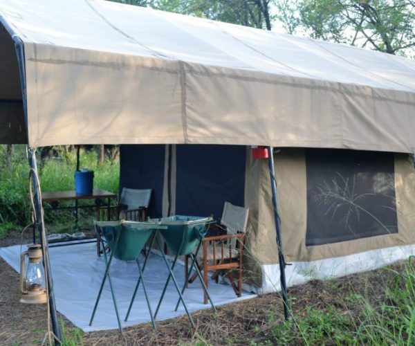 DREAM-18-scaled-qqo00mwtdzntpykfbbn3u6rfcr46mri1biiifs01h8