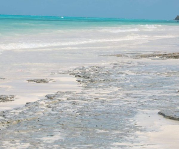 DREAM-8-scaled-qqo00aowx573j126aocyfrufmqseup5ixu1776i5q4