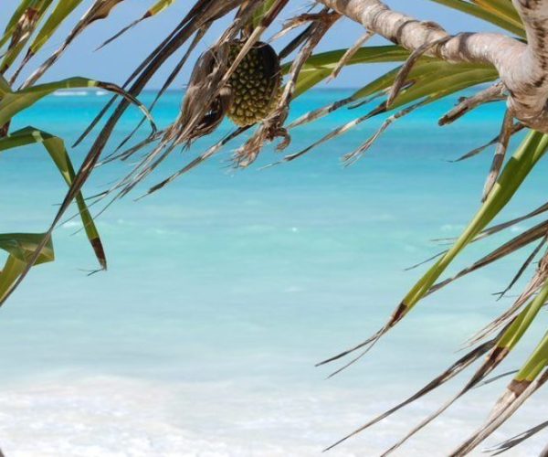 DSC_0178-qqo00nunktp41kj25u1qeoivy4zjuglrnn5zx1ynb0